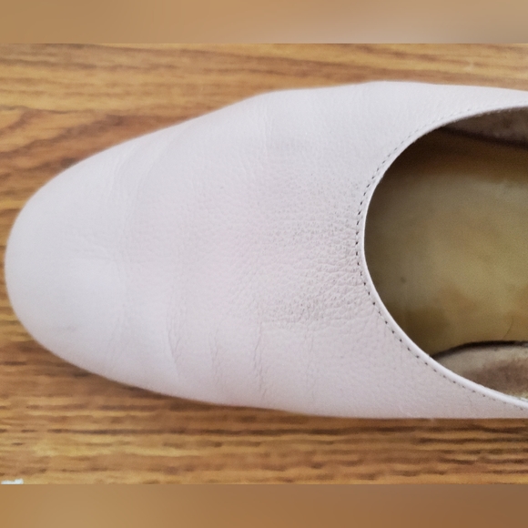 Everlane Italian Leather Day Glove Pale Pink Flats 6 - Picture 7 of 8